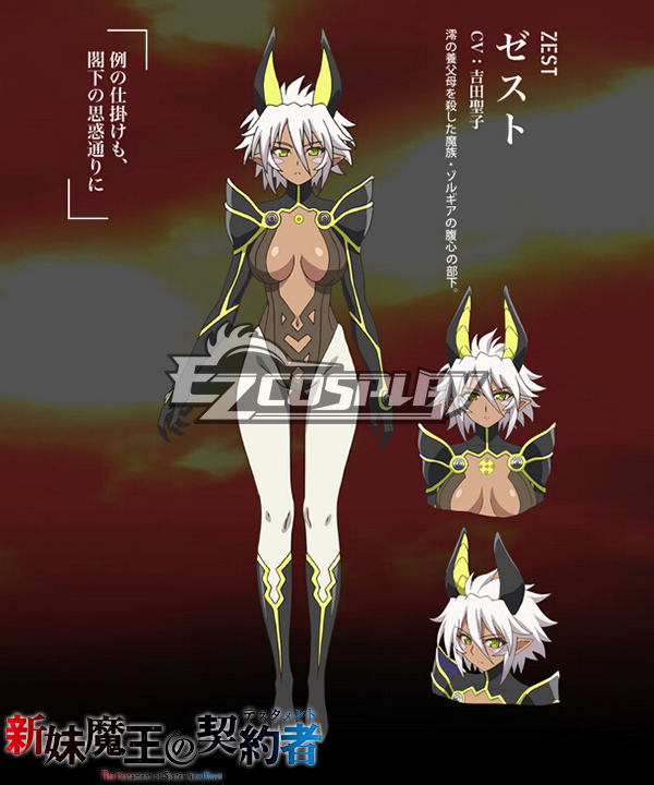 ITL Manufacturing The Testament of Sister New Devil Zest Cosplay Costume